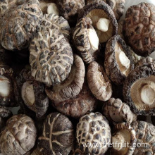 Quality Dried Shiitake Mushrooms